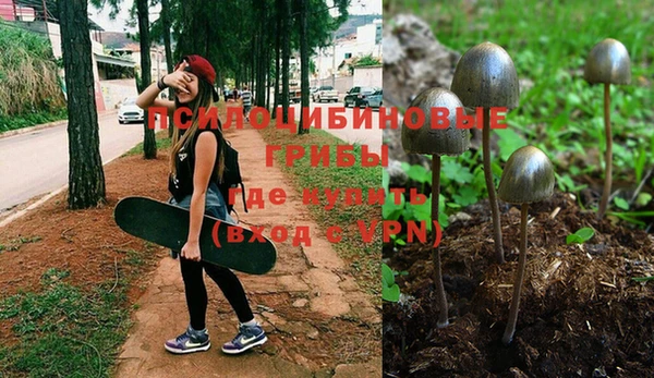 прущие крисы Верхнеуральск