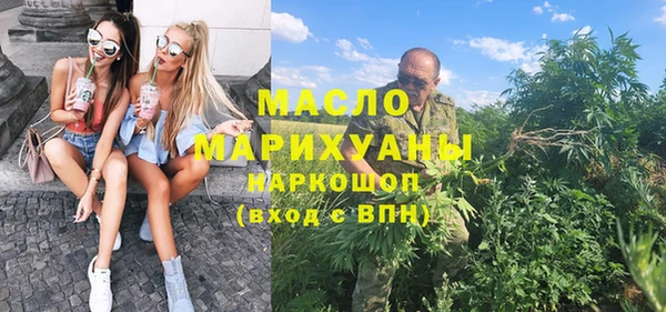 гашик Тайга
